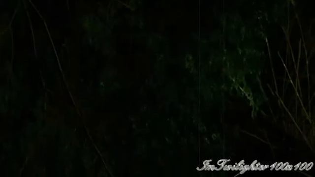 Edward&Bella - " I Save You Life! " смотреть онлайн