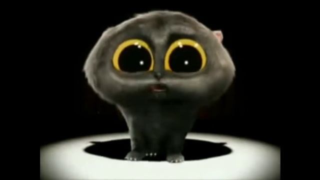 кити кити смотреть онлайн