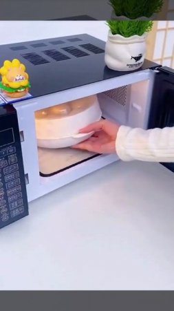 microwave heating steamer