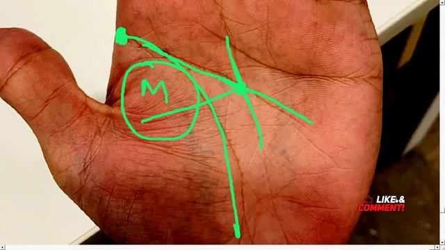 31 year old person first in private now in government service / Palmistry Reading By Palmist Manish смотреть онлайн