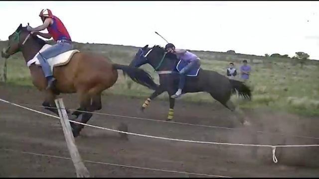 GATERAS Potrerillo 21 11 2015 смотреть онлайн