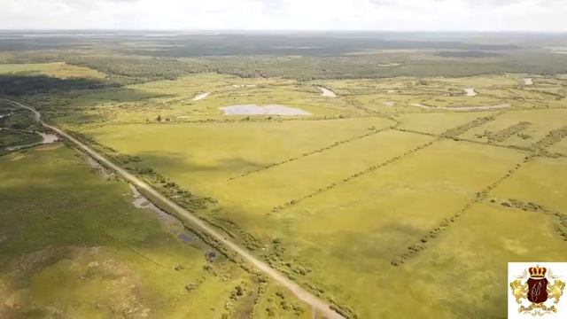 Тюмень 100 соток по Московскому тракту от Тюменского гектара