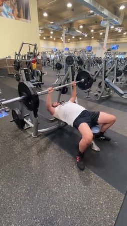 230 bench press