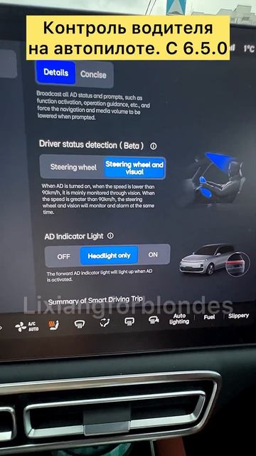 Контроль водителя на автопилоте с 6.5#lixiang #li9 #li7 #L9 #L7 #lixiangforblondes #li6 #l6 #li8 #l8 смотреть онлайн