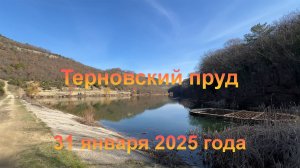 Терновский пруд (Крым, Балаклавский район города Севастополя, село Терновка). 31 января 2025 года.