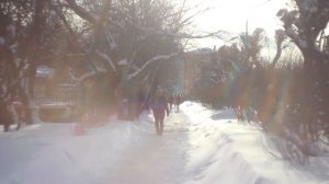 Тест объектива Гелиос 44-m4: рабочая машина кинодела