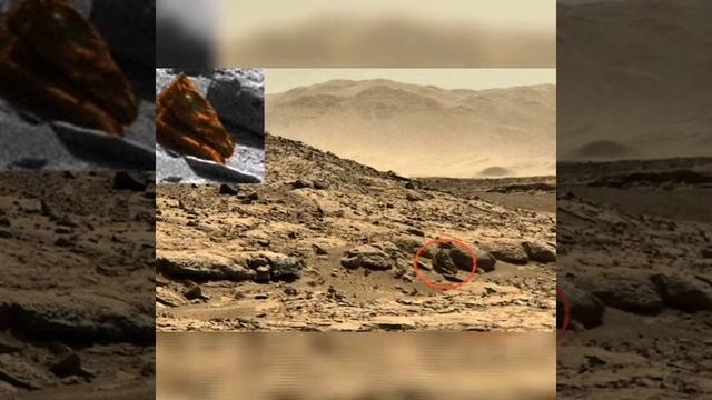 Марс правда или ложь смотреть онлайн