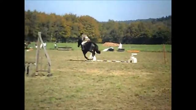 Tina and Chase Comet TRRC 2/10/11 смотреть онлайн