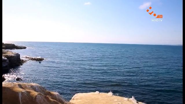 Американский чекин - Выпуск 10. Сан-Диего | НЛО TV смотреть онлайн