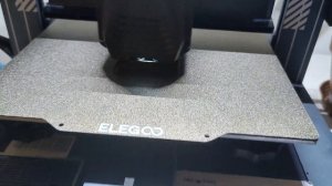 Elegoo Neptune 4 Pro Print