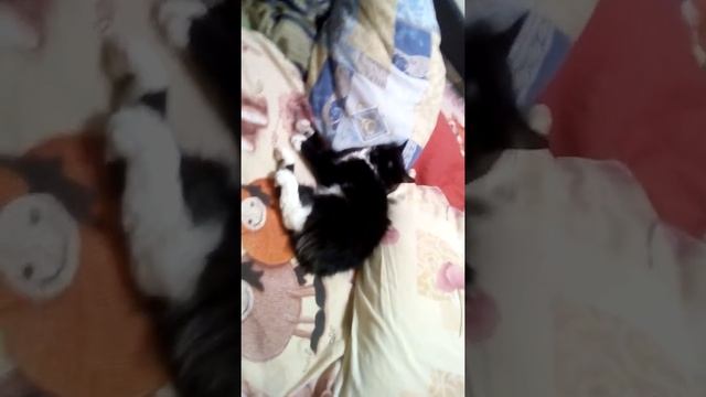 И кусайся- и кусайся,но только кончиками пальца смотреть онлайн