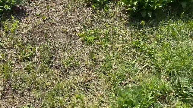 Компостный пластмассовый ящик! Как это? смотреть онлайн