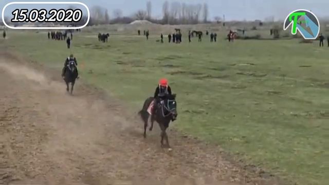 Скачки в с.Алибек-Отаре Бабаюртовского района 2 заезд (4800)м 15.03.2020