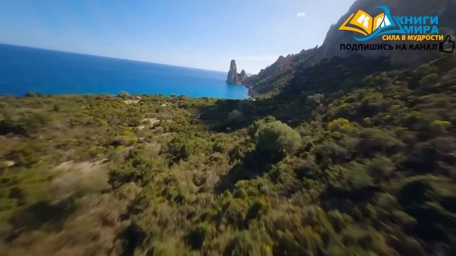 Переворот Сознания ЗА ОДНУ Ночь! Как Объединить Своё “Я” Воедино?! | Очисти Своё Сознание! | Никошо смотреть онлайн