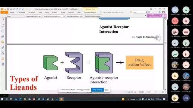 Pharmacology nursing revision смотреть онлайн
