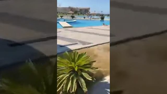 Travel Vlog - albatros sea world marsa alam смотреть онлайн