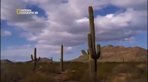 Как погибнет земля