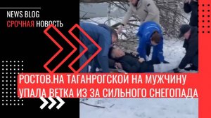 Ростов.На Таганрогской на мужчину упала ветка из за сильного снегопада, минимум двое пострадавших