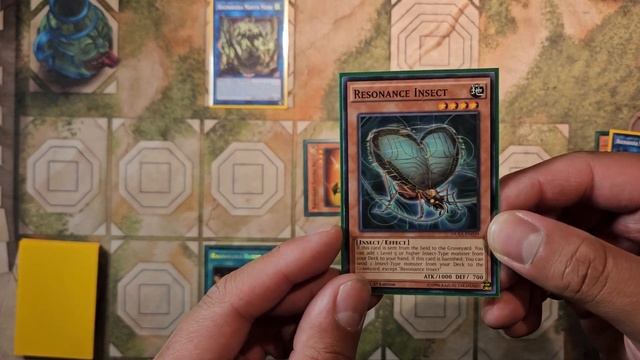 Yu-Gi-Oh!! RAGNARAIKA BEETROOPER Combos & Test Hand! Posy Legacy of Destruction (LEDE) смотреть онлайн