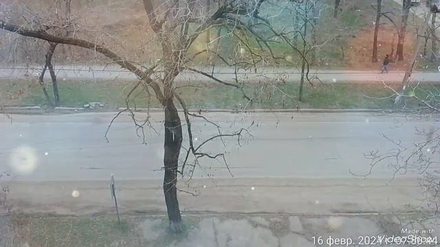 Пятница утро 🖥️☕ кошечки 🐈 Чернышка Китти Симка 😾,16.02.2024,за окном 0 ☁️🌬️ смотреть онлайн