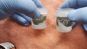 Чистка монет из бронзо-никелевого сплава перекисью водорода с лимонной кислотой и аммиаком.