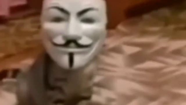 КОТ АНОНИМУС И СПИДРАН ПО МАЙНКРАФТУ ПОВЕЗЛО ПОВЕЗЛО
