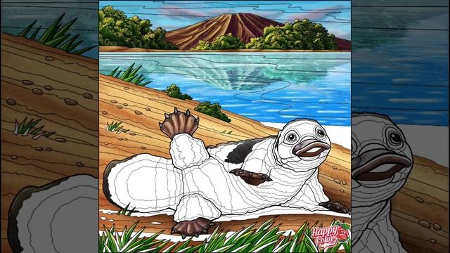 happy colour animals