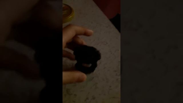 sonunda küçük marsu pilami yumurtadan çıktı hemde çok tatlı 😊😊 смотреть онлайн