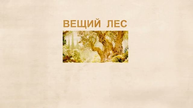 Yazyk programmirovaniya mirozdaniya - gravitacija смотреть онлайн