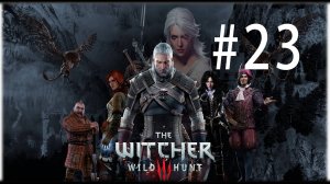 Ведьмак 3: Дикая Охота. 23 стрим по игре The Witcher 3: Wild Hunt