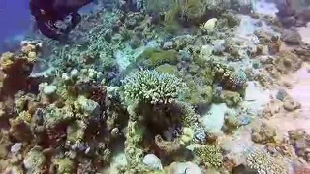 Marsa Alam Giugno 2013 смотреть онлайн