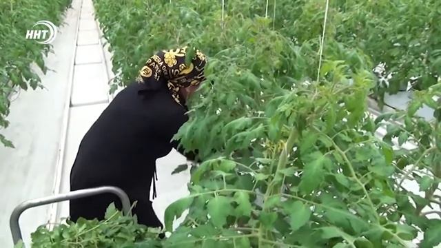 Специалисты Кавказского межрегионального управления Россельхознадзора провели мониторинг