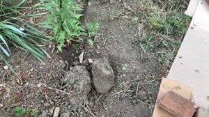 КУПИЛИ ХАТУ НА КУБАНИ🌳КРЫША ДОМА МОЕГО💪😅