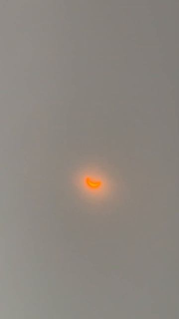 Viewing Solar Eclipse in Long Island City, NY  #nyc #eclipse #nyclife