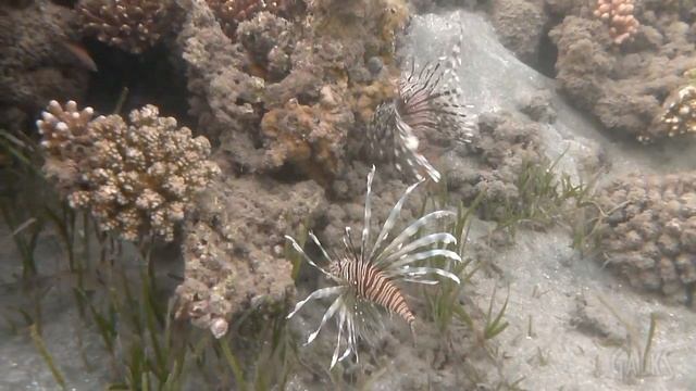 Shams Alam and around - Шамс Алам и окрестности смотреть онлайн