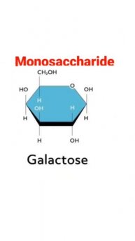 Monosaccharide || Carbohydrates(biomolecules) || part 1 || VK chemistry lab || experiment ||👍👍....