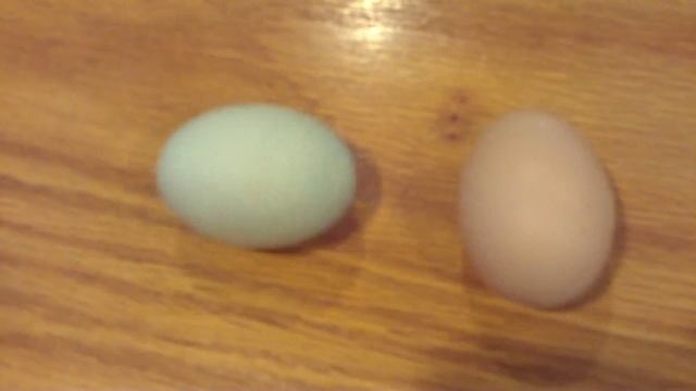 ScienceExperiment Wobbly Planet.MOV смотреть онлайн