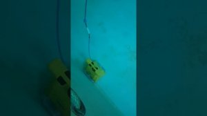 Dolphin Dynamic Prox 2 - video 5