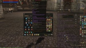 Гайд на Магистра Магии. Стань лучшим ММом в Lineage 2 Essence 2024.