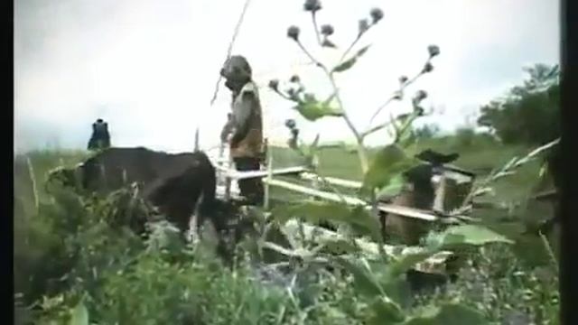 Художественный фильм: "Горец" 1992