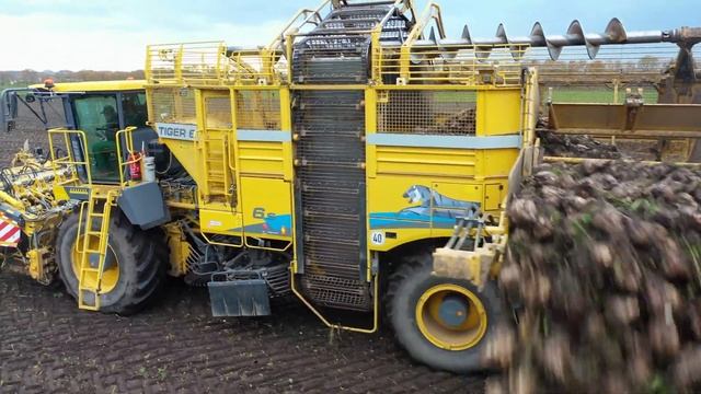Sugar Beet Harvest Ropa tiger 6S XXL смотреть онлайн