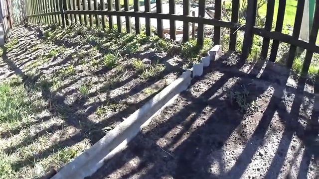 У нас в гостях Фантик. Цветёт алыча. VLOG. Брест смотреть онлайн