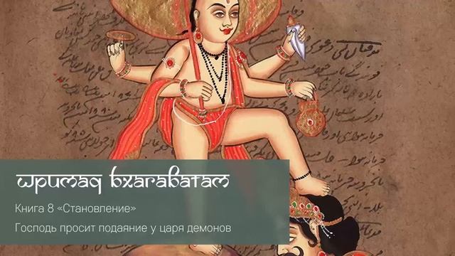 8-19. Господь просит подаяние у царя демонов. Шримад Бхагаватам смотреть онлайн