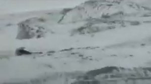 y2mate com   Сборник 9  Музыка Сергея Чекалина  Collection 9  Music by Sergey Chekalin  EcMnLE0fhBU