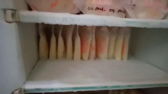 TIPS MENATA ASIP BEKU DIDALAM FREEZER BIAR NGGA BERANTAKAN DAN MUAT BANYAK смотреть онлайн