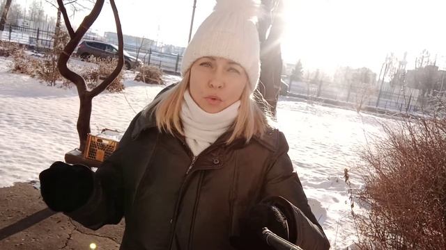 🌞Солнечное затмение 14 декабря, рекомендации🌞 смотреть онлайн