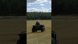 Самодельный вездеход