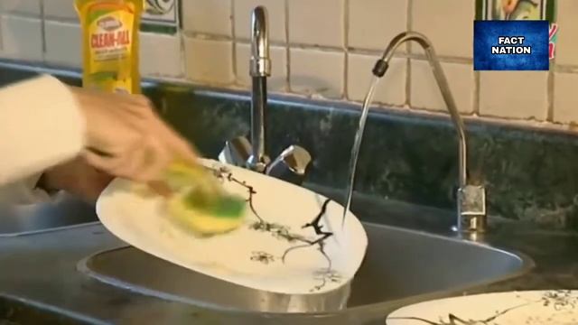 20 Best Kitchen Gadgets: 20 Best Kitchen Gadgets Put To The Test (2020) смотреть онлайн