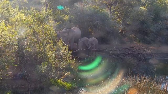 The Upgraded Solar sUn New Light Frequencies: 43.96Hz, 54.95Hz, 66.6Hz, 76.93Hz, 87.92Hz, 99.9Hz. смотреть онлайн