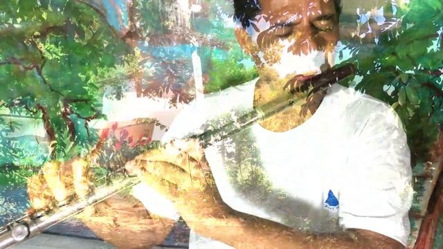 Flor e Terra - viaje nessa estrada instrumental flute music